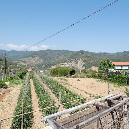 Nice Home In Borgo Doneglia With Kitchenette Borgo d'Oneglia Exterior foto